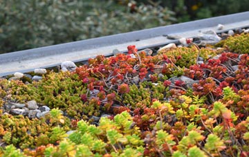 the cost of Colliers Hatch green roof installation